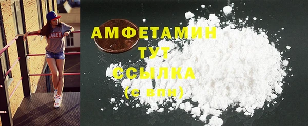ГАЛЛЮЦИНОГЕННЫЕ ГРИБЫ Гусев