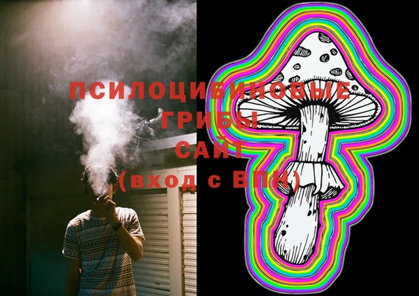 МДМА Горняк